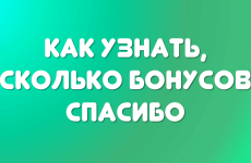 Как узнать, сколько бонусов Спасибо? 5 способов проверить баланс